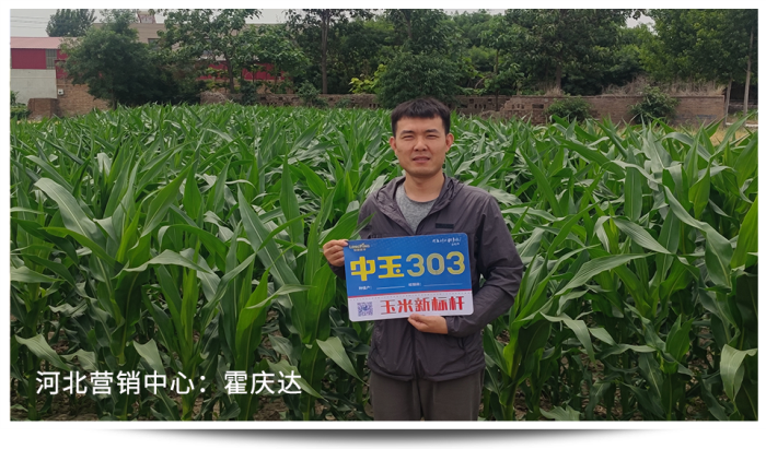图片60.png
