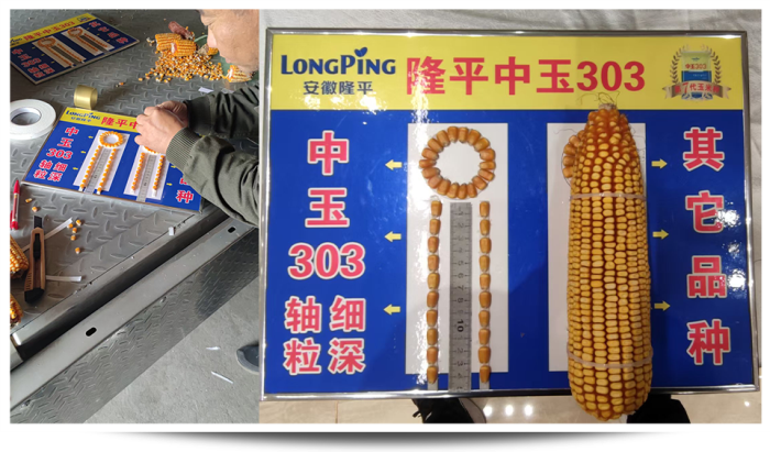 图片63.png