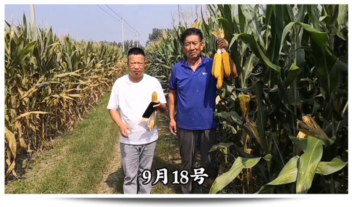 图片68.png